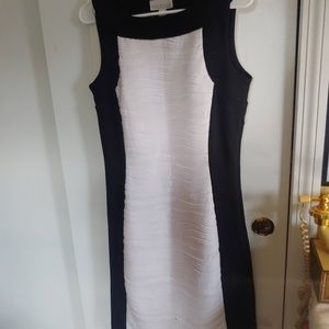 Dana Buchman Hourglass Sleeveless Woman Dress (6)